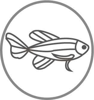 png12